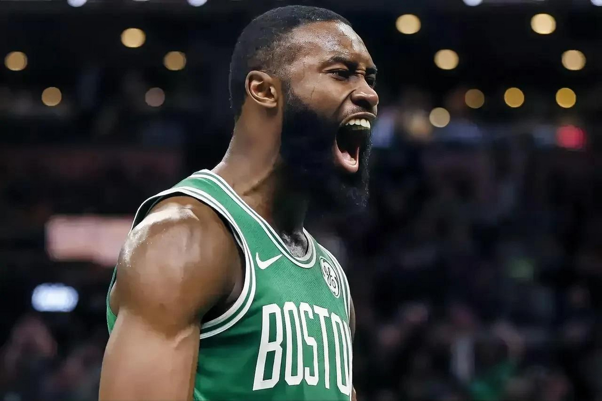 务必在章节 务必在章节