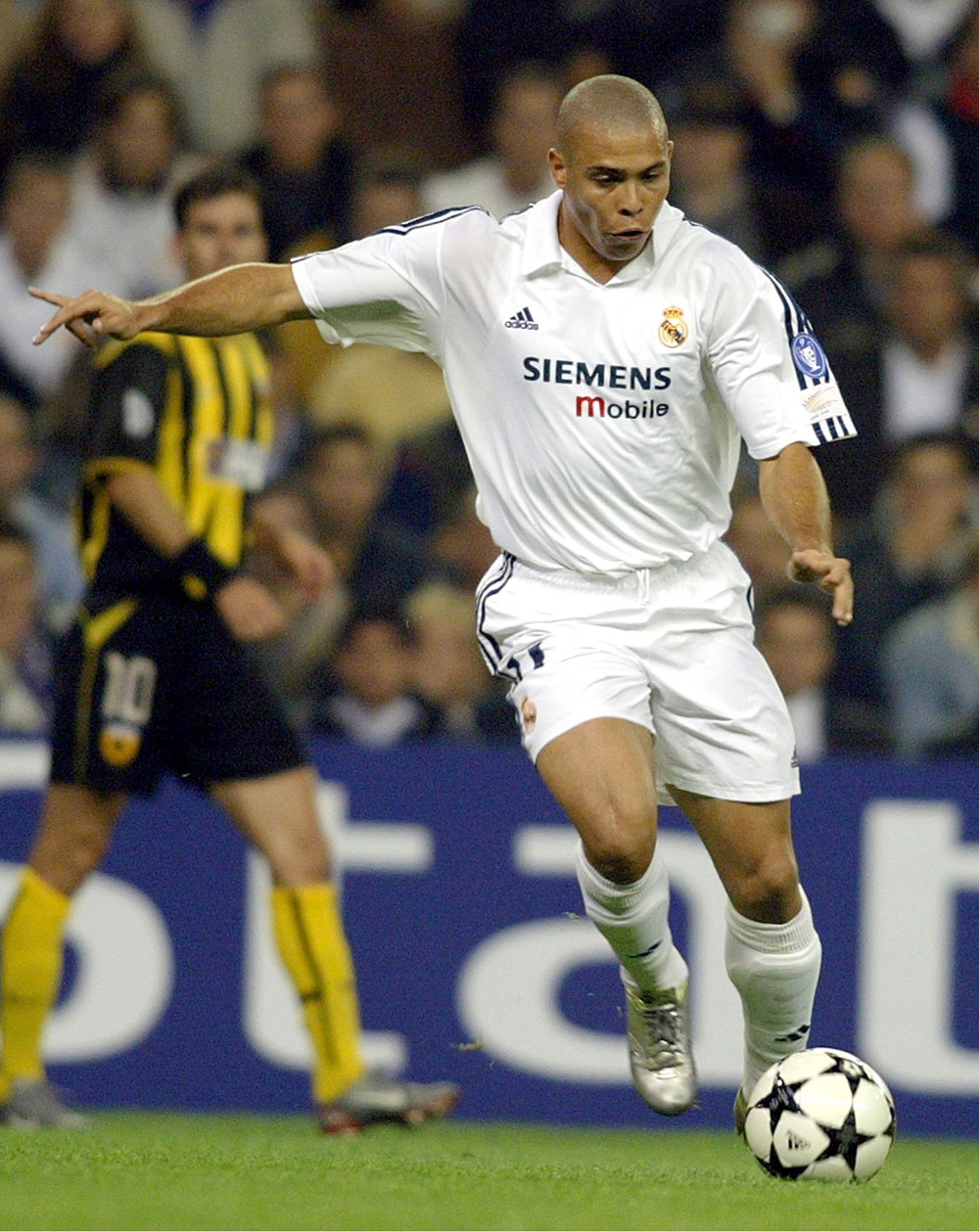 预计主帅会 预计主帅会